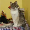 Отзыв от Римма Кравцова